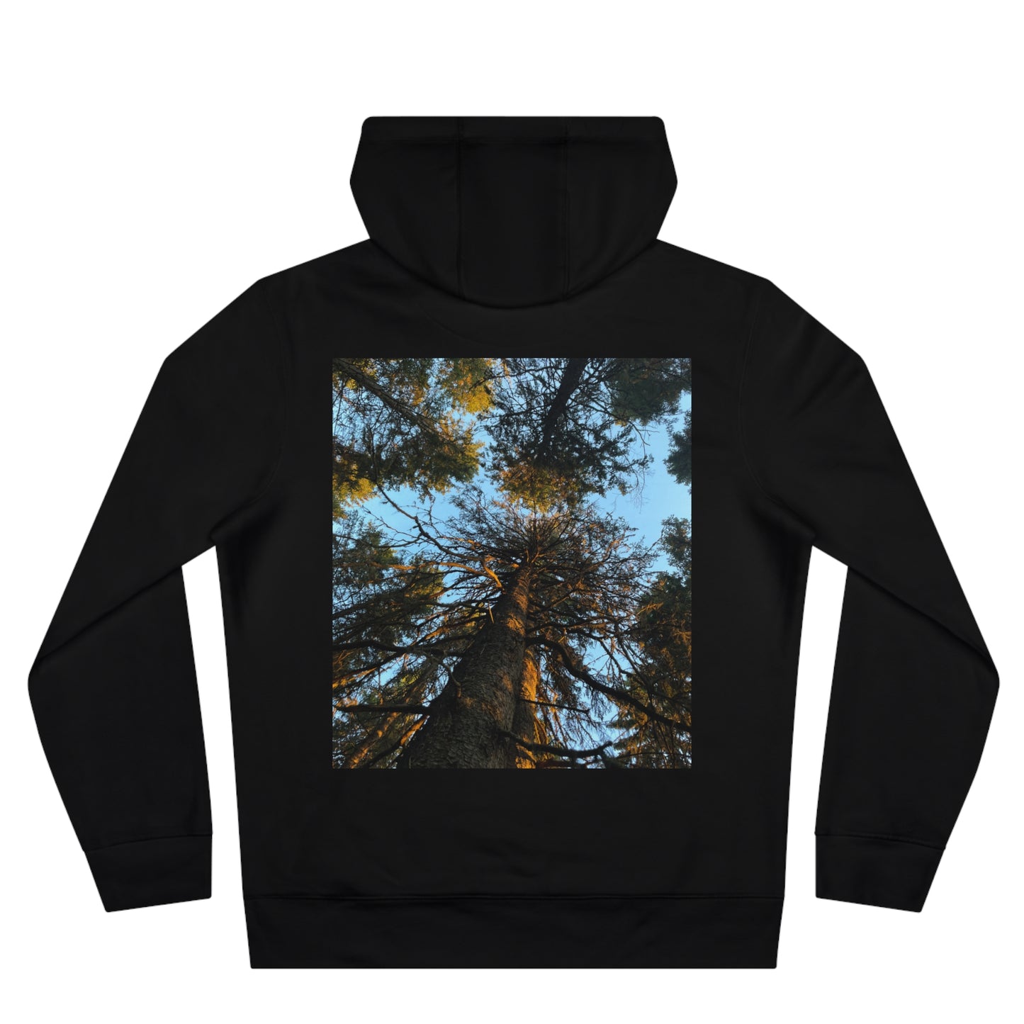 Into the Woods Hoodie